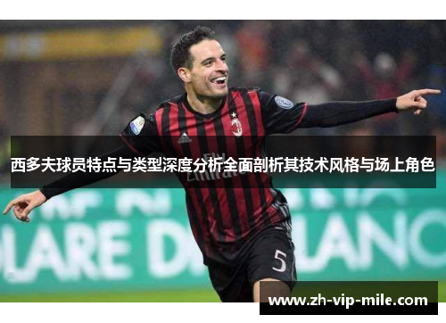 西多夫球员特点与类型深度分析全面剖析其技术风格与场上角色