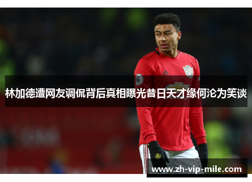 林加德遭网友调侃背后真相曝光昔日天才缘何沦为笑谈 林加德遭网友调侃背后真相曝光昔日天才缘何沦为笑谈