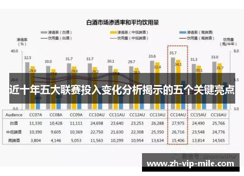 近十年五大联赛投入变化分析揭示的五个关键亮点 近十年五大联赛投入变化分析揭示的五个关键亮点