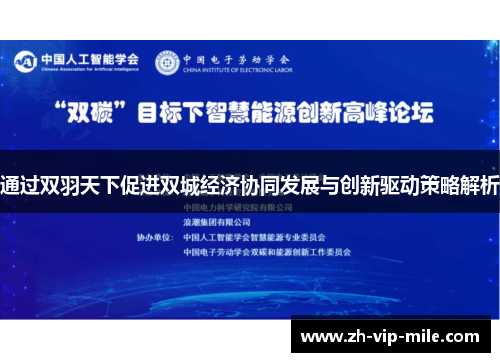 通过双羽天下促进双城经济协同发展与创新驱动策略解析 通过双羽天下促进双城经济协同发展与创新驱动策略解析