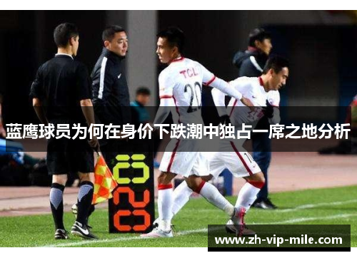 蓝鹰球员为何在身价下跌潮中独占一席之地分析